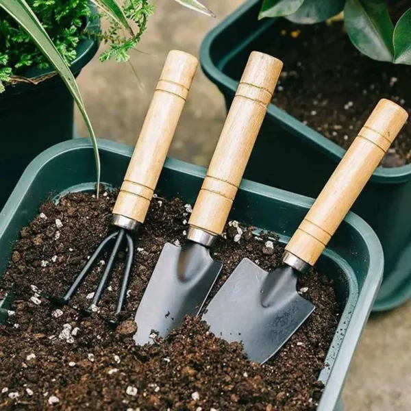 3Pcs/Set Gardening Tools Raise Flowers Rake Planting Vegetables Flowers Succulent Small Shovel Tool Shovel Potting Supplies